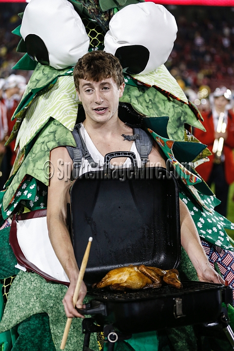 2013-Stanford-Oregon-041.JPG - Nov. 7, 2013; Stanford, CA, USA; Stanford Cardinal mand mascot The Tree at halftime against the Oregon Ducks at Stanford Stadium. Stanford defeated Oregon 26-20.